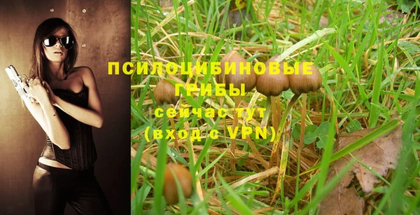 крисы Абинск