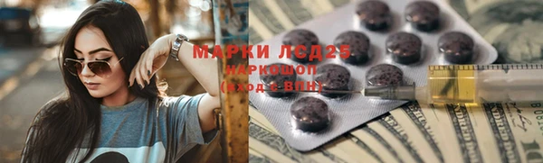 ГАЛЛЮЦИНОГЕННЫЕ ГРИБЫ Алексеевка