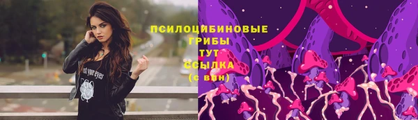 крисы Абинск