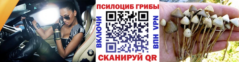 Галлюциногенные грибы прущие грибы Батайск