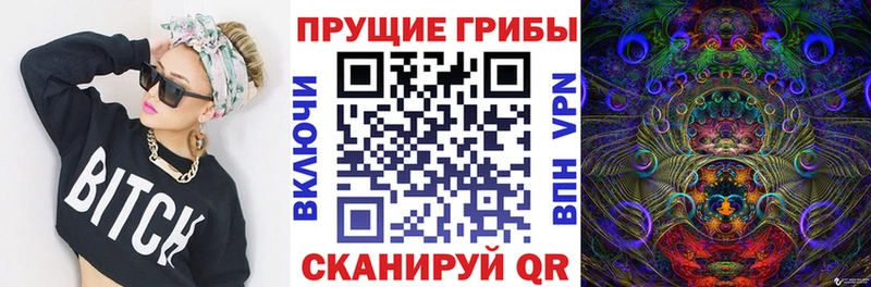 Псилоцибиновые грибы Psilocybine cubensis  блэк спрут зеркало  Батайск 
